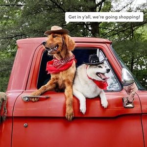 We're going Shopping